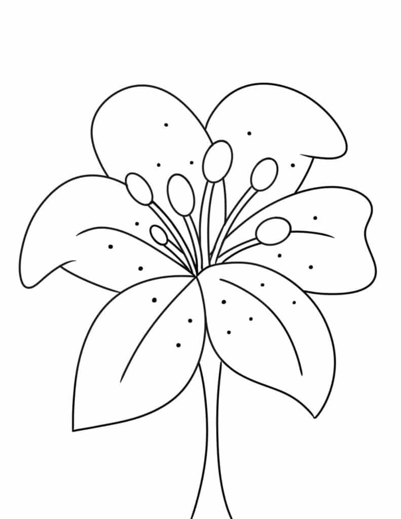 Coloring pages for flowers â the hollydog blog