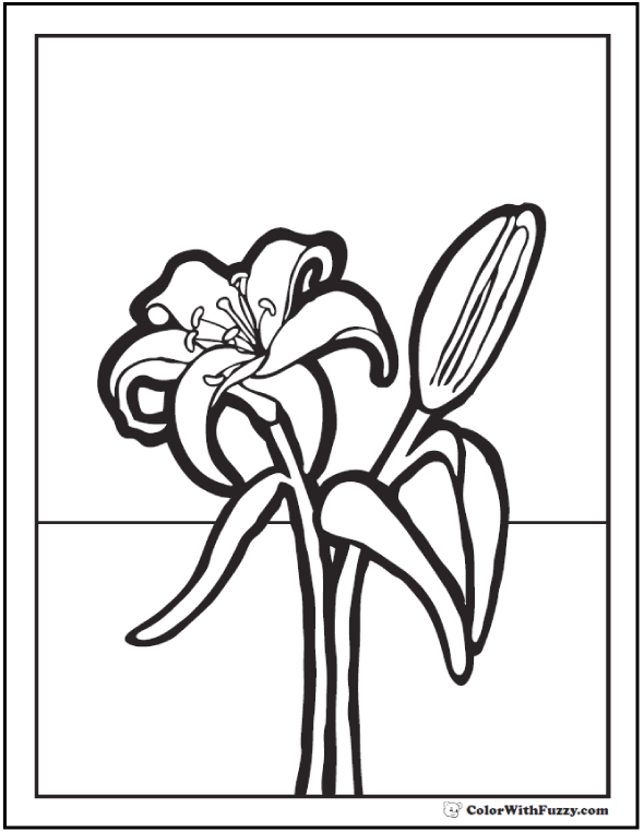 Lily coloring pages â fun interactive notebook pdf printables