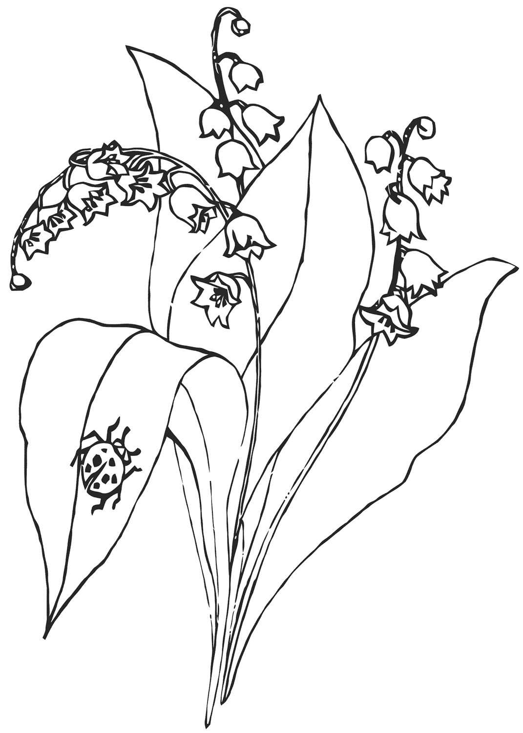 Coloring pages lily coloring pages