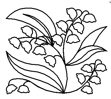 Lily of the valley border