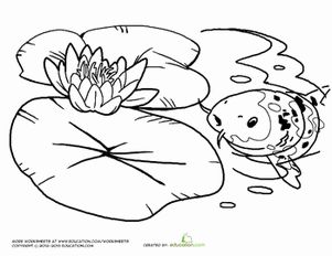 Preschool coloring worksheets water lily coloring page coloring pages water lily pond monet monet water lilies