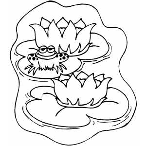 Lily pads coloring page