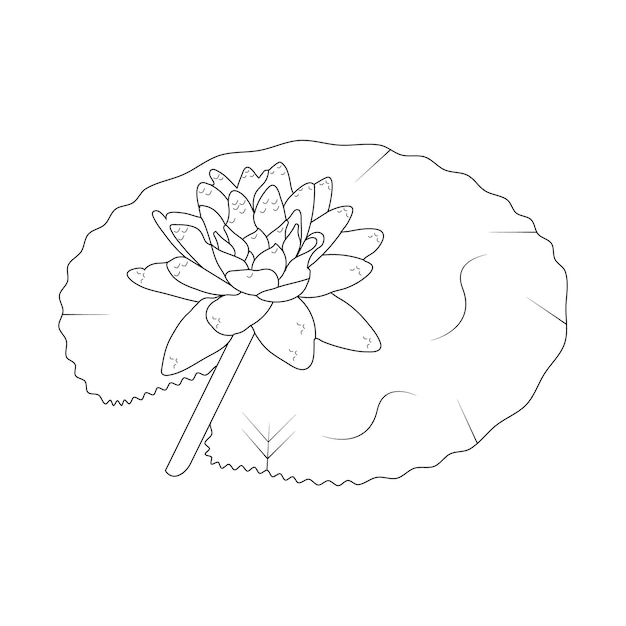 Premium vector water lily coloring page and line art flower sketch with flower vector illustration