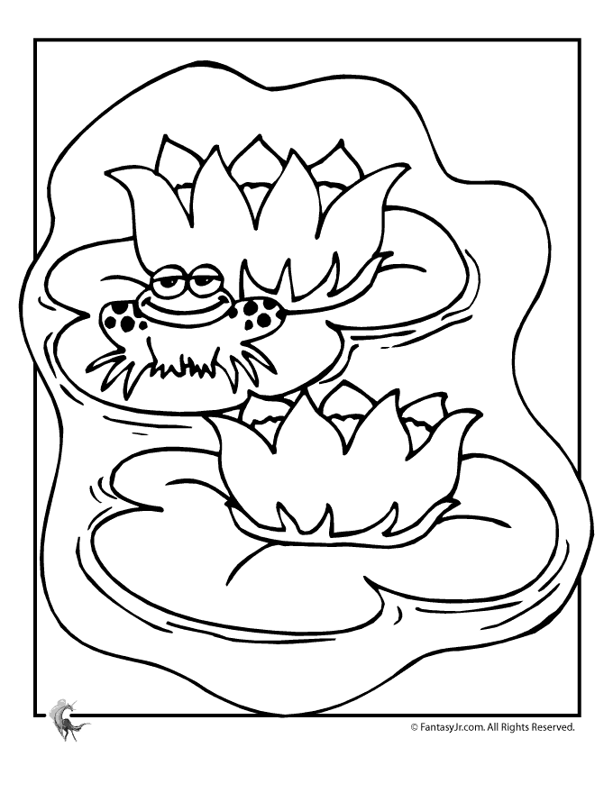 Lily pad coloring page