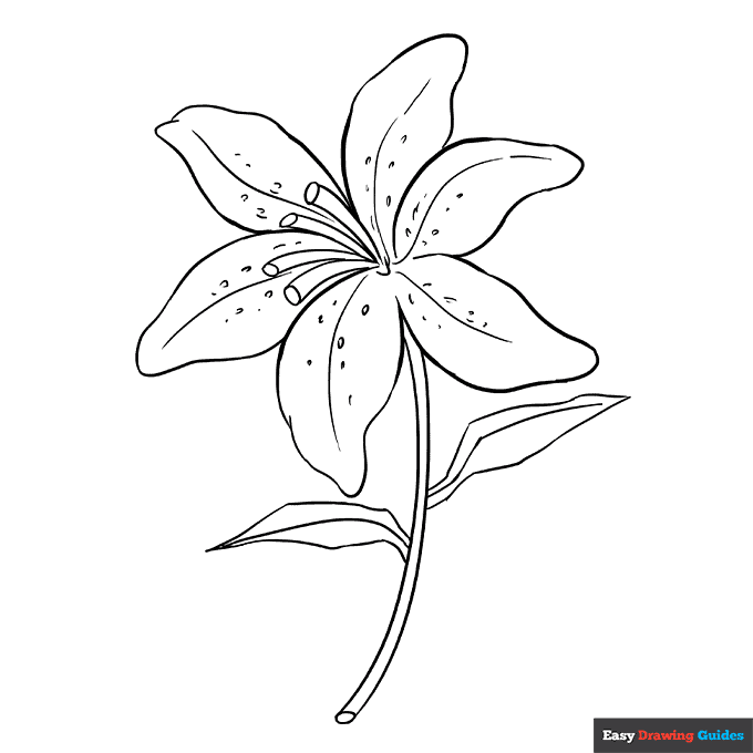 Free printable flower coloring pages for kids