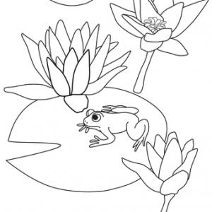 Color the flowers