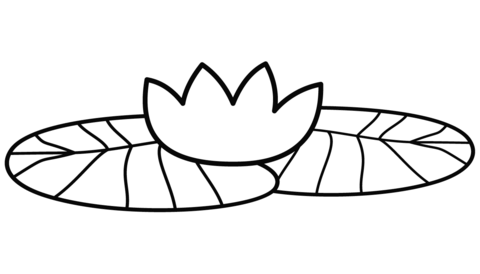 Lily pad coloring page free printable coloring pages