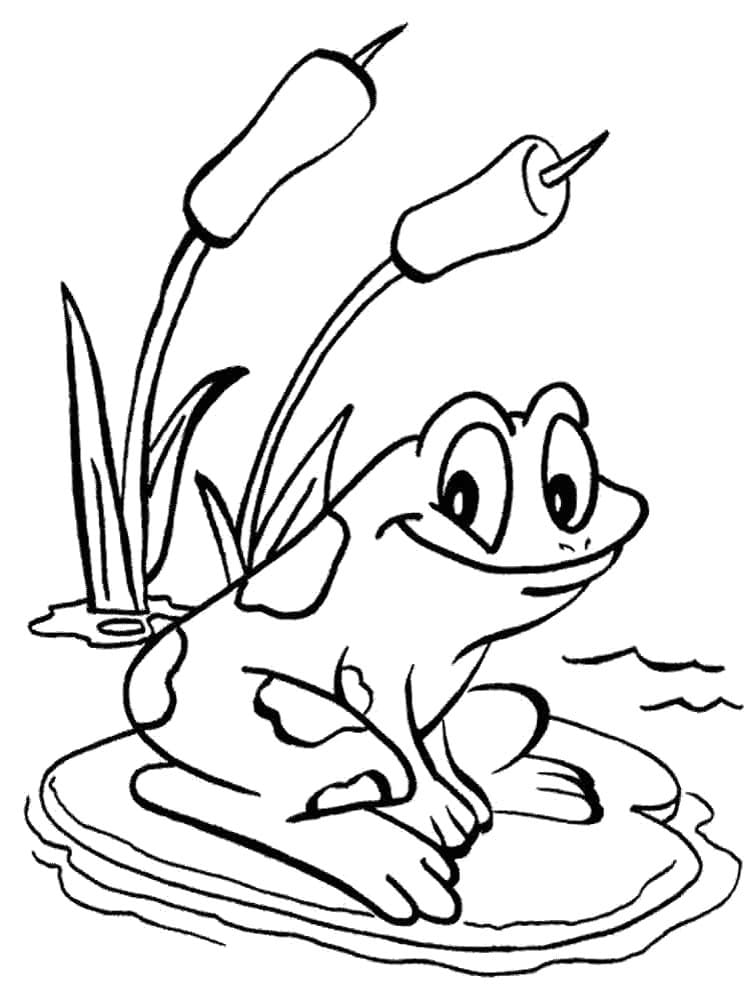 Smiling frog coloring page