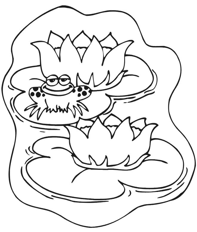 Free printable lily pad coloring pages for kids frog coloring pages animal coloring pages detailed coloring pages