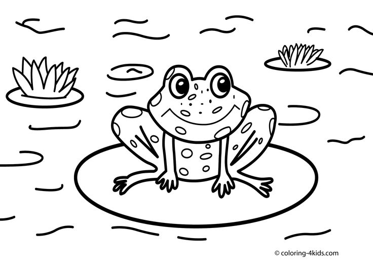 Frog nature coloring page for kids printable free frog coloring pages frog drawing animal coloring pages