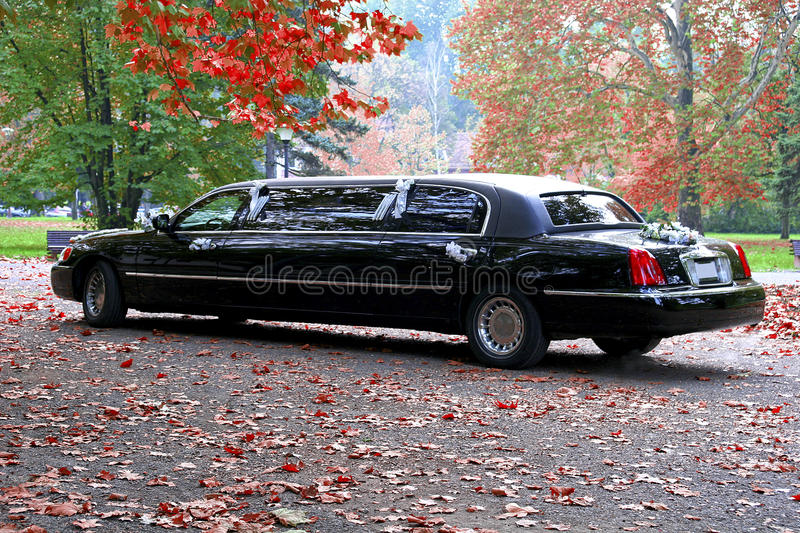 Download Free 100 + limousine Wallpapers