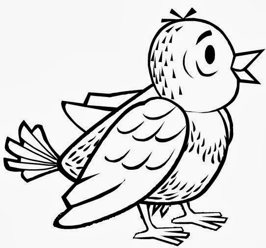 Sparrow drawing bird coloring pages worksheet guide