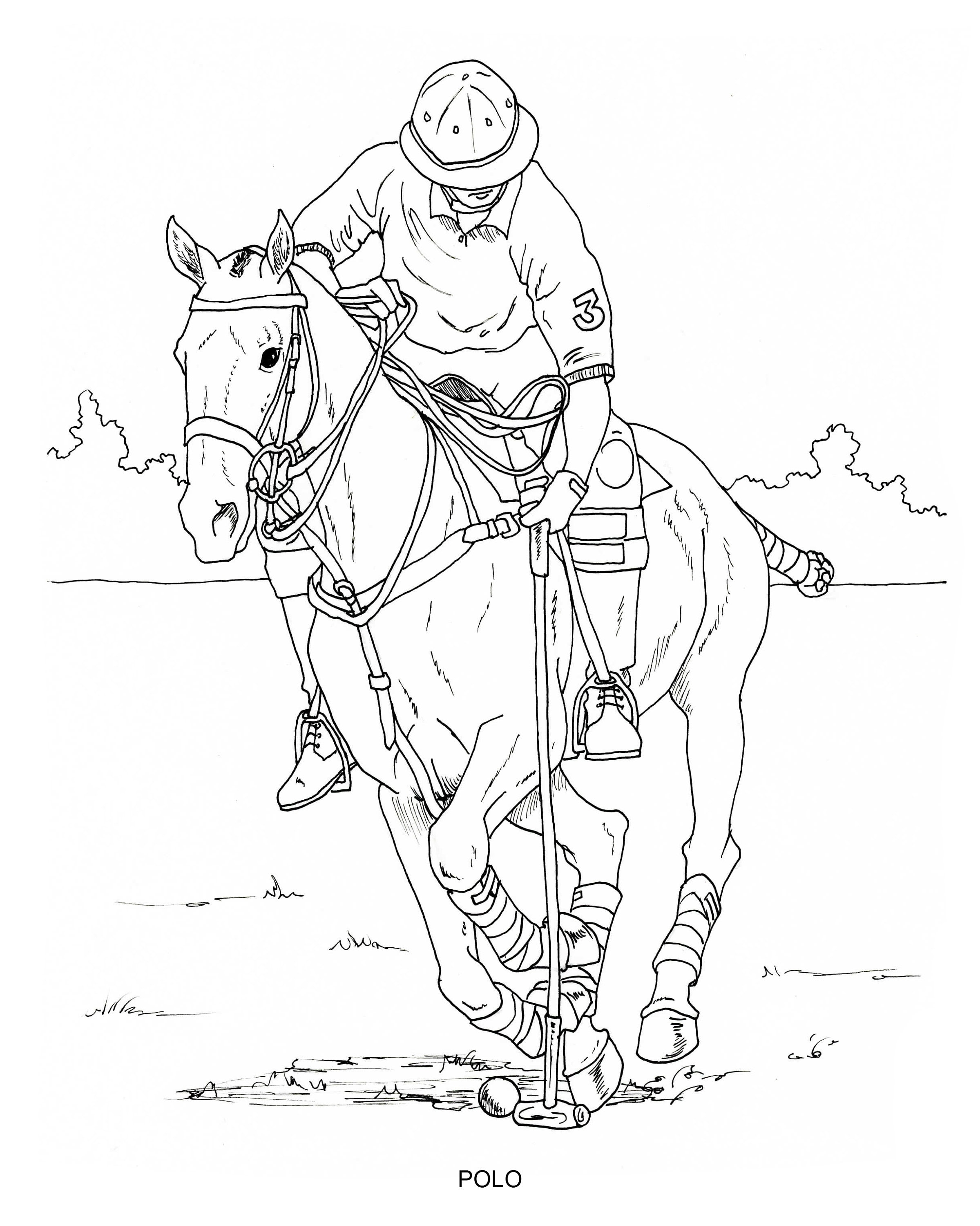 Printable coloring pages disciplines and jobs for horses pages of hand drawn horse illustrations