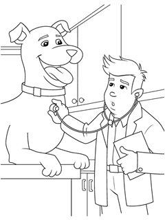 Animals free coloring pages