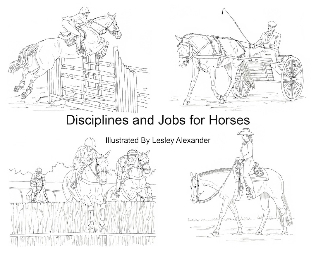 Printable coloring pages disciplines and jobs for horses pages of hand drawn horse illustrations