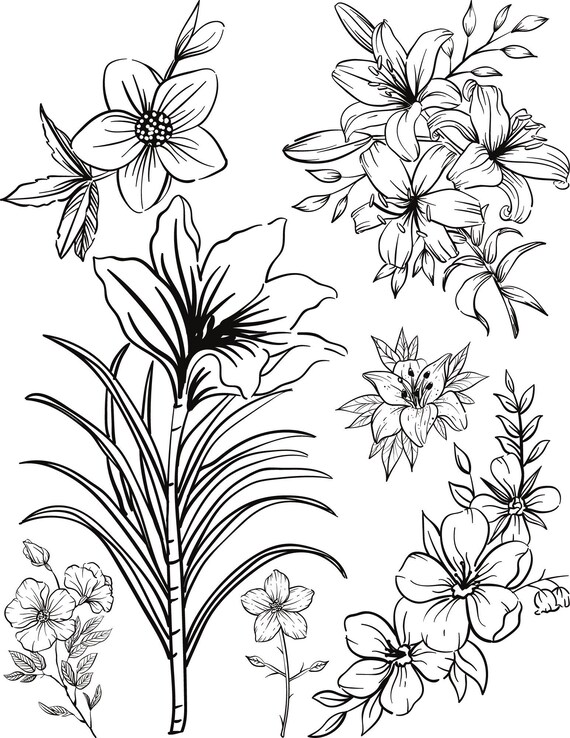 Flower coloring page