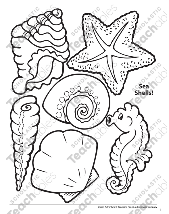 Sea shells ocean adventure coloring page printable coloring pages