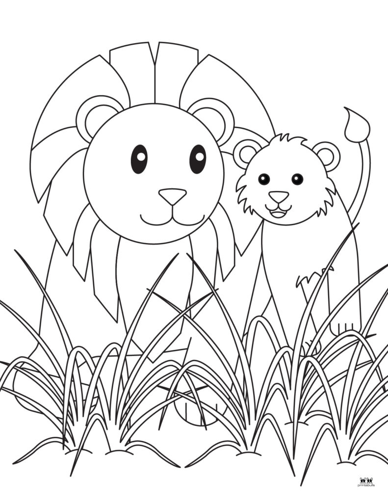 Lion coloring pages