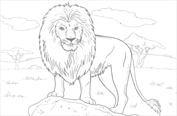 Jungle coloring pages