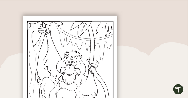 Orangutan coloring sheet teach starter