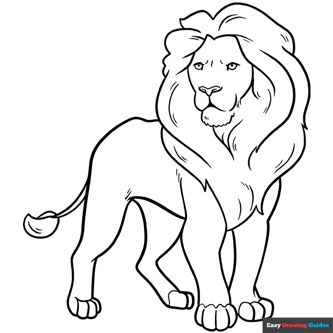 Lion coloring page easy drawing guides