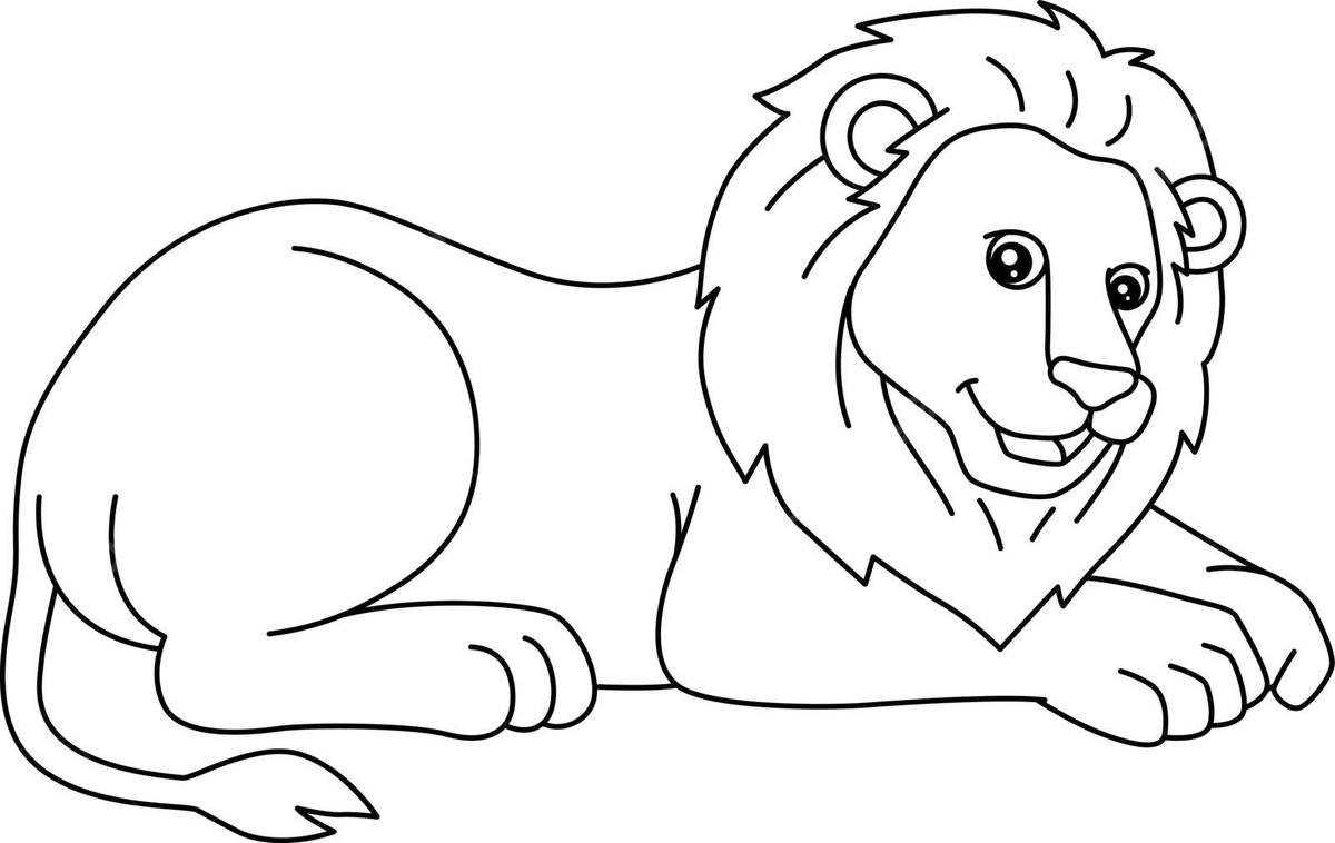 Lion coloring page isolated for kids africa lion kid vector lion drawing ring drawing kid drawing png and vector with transparent background for free download