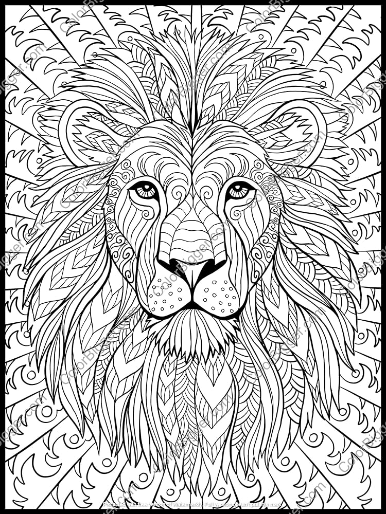 Color bigger giant coloring poster