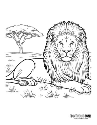 Lion clipart coloring pages with fun crafts facts activities for curious kids at