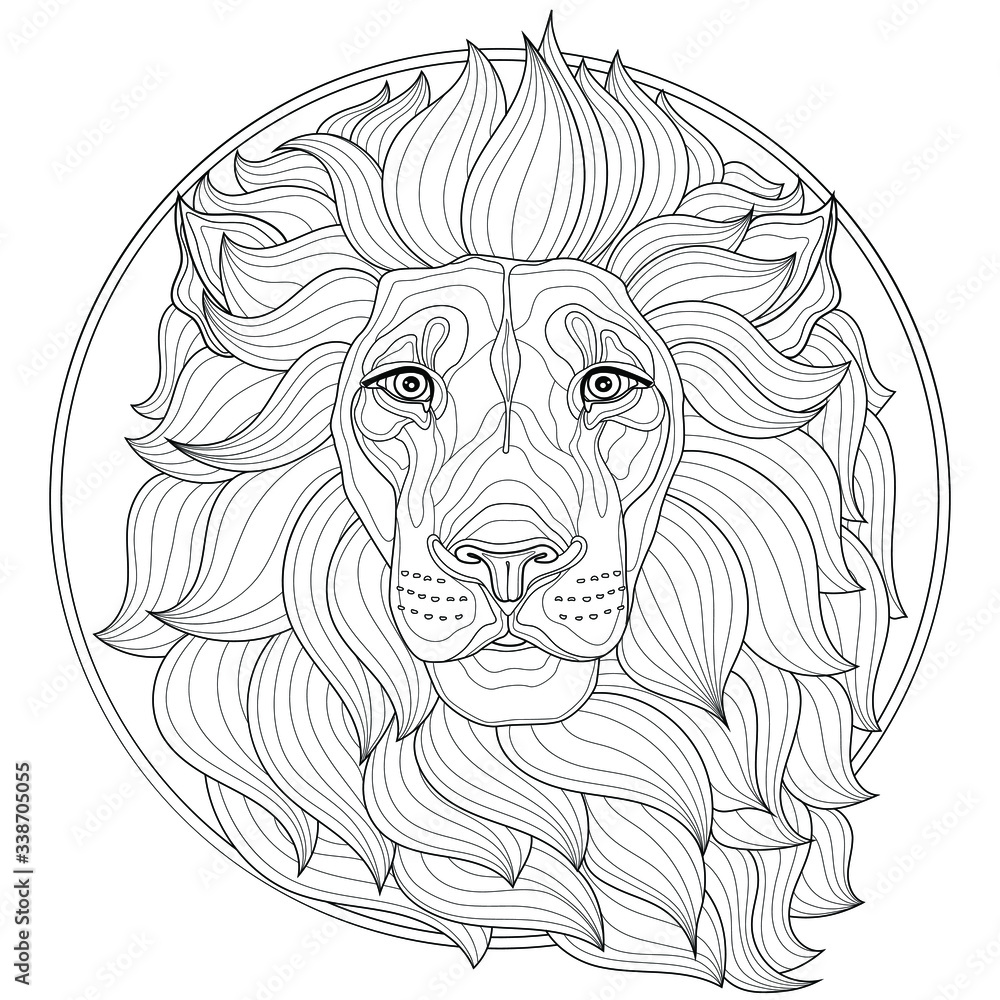 Beautiful lioncoloring book antistress for children and adults illustration isolated on white backgroundzen