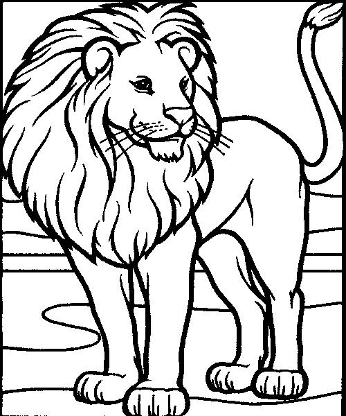 Coloring pages printable lion coloring pages