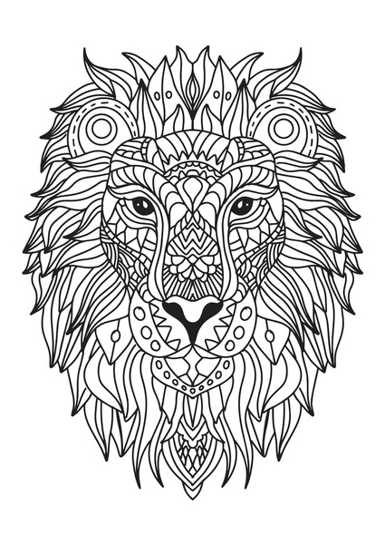 Adult coloring lion images stock photos d objects vectors