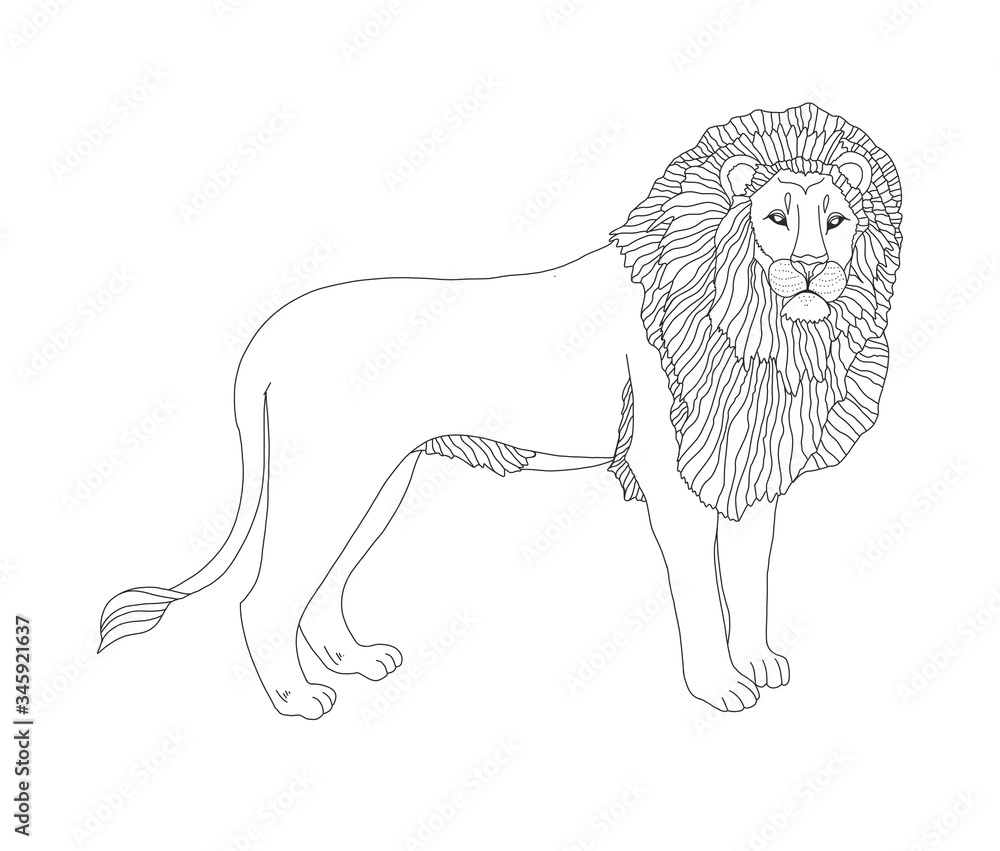 Vetor de vector coloring book for children and adults with a lion the king of animals a lion with a mane covered with patterns studying animals line art a series of coloring