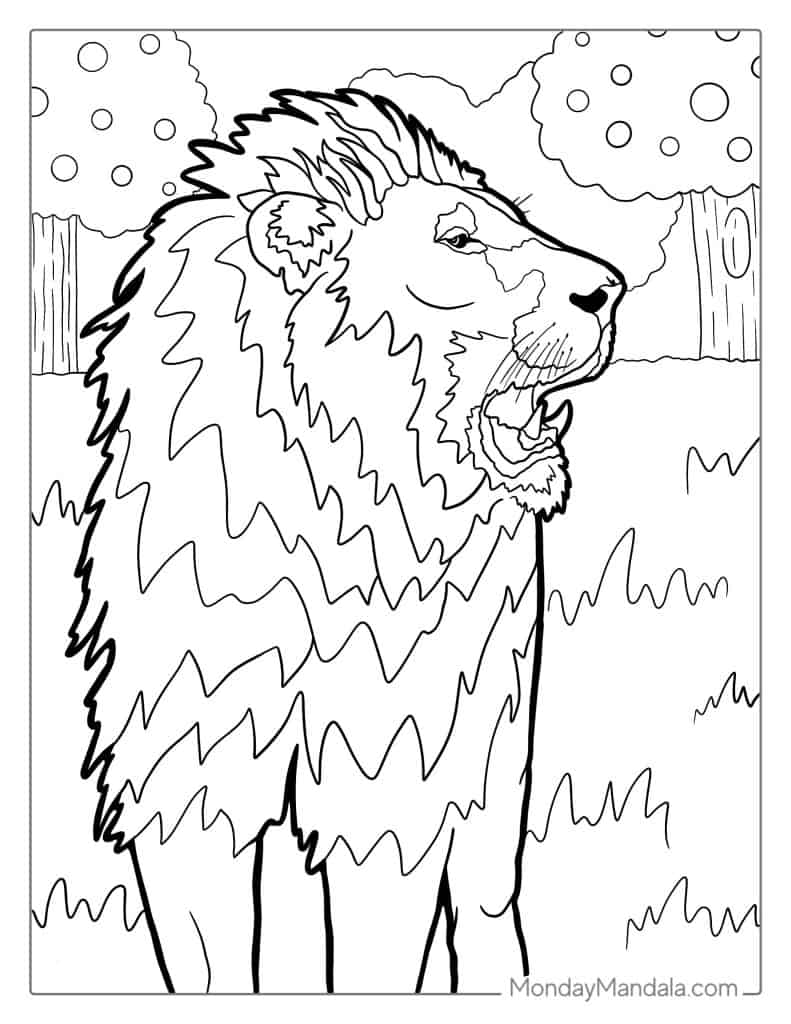 Lion coloring pages free pdf printables