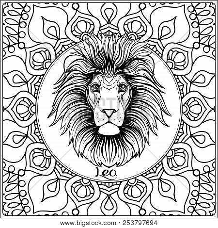 Leo lion decorative vector photo free trial bigstock