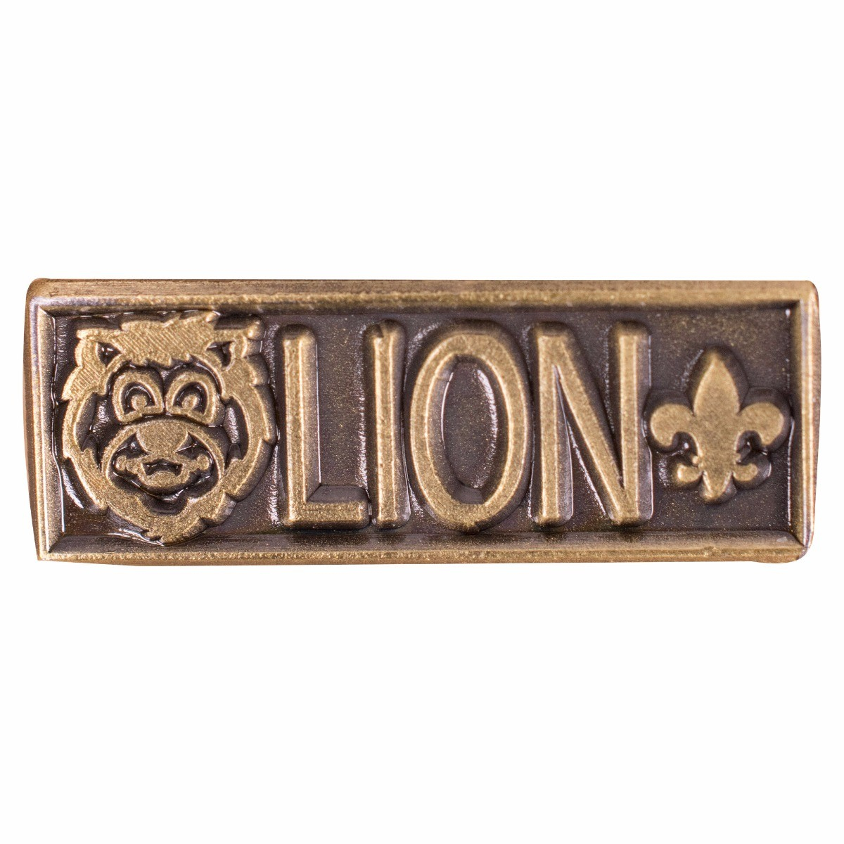 Cub scout lion rank parent pin