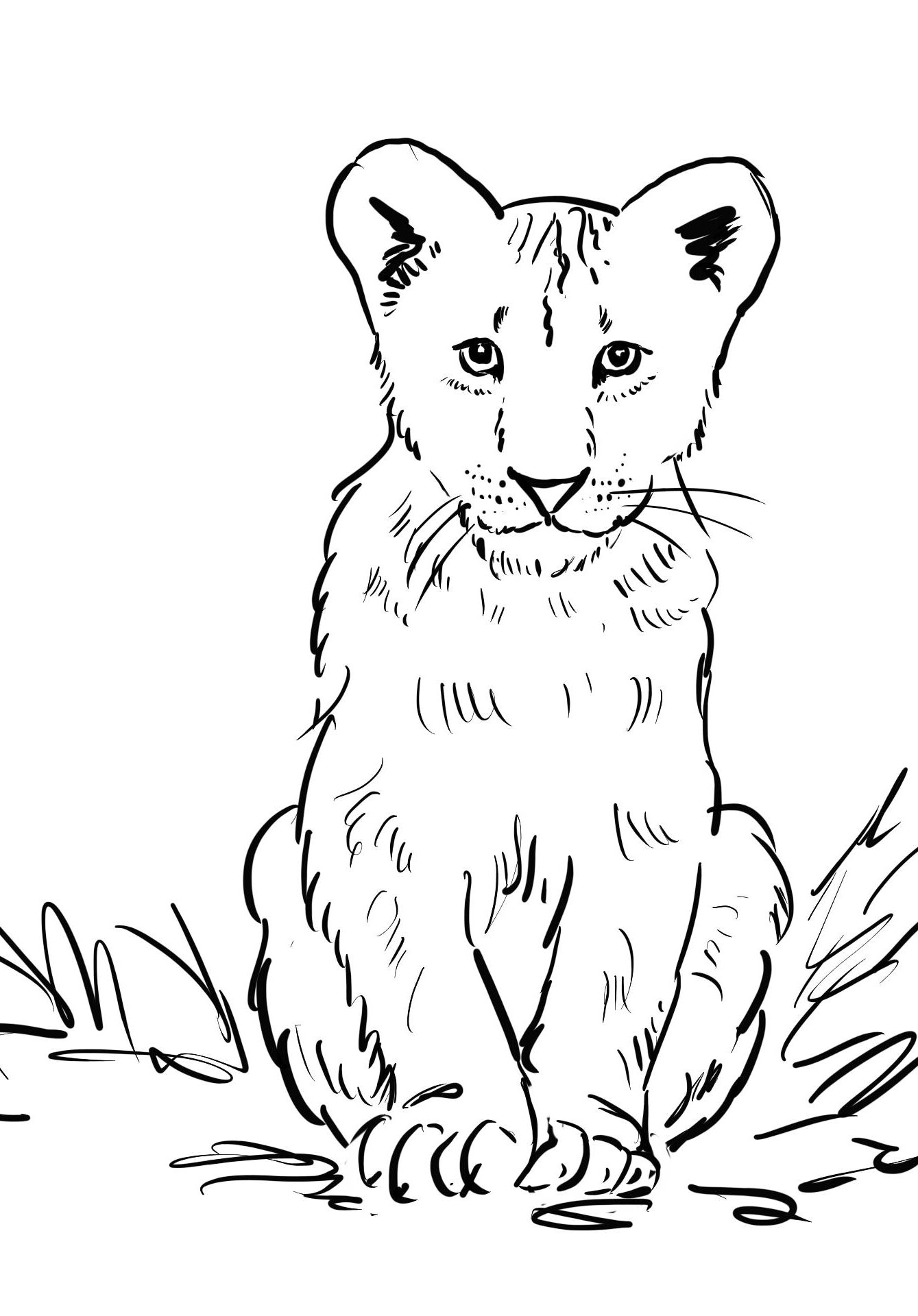 Lion cub coloring page