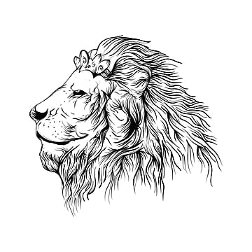 Download Free 100 + lion drawing Wallpapers