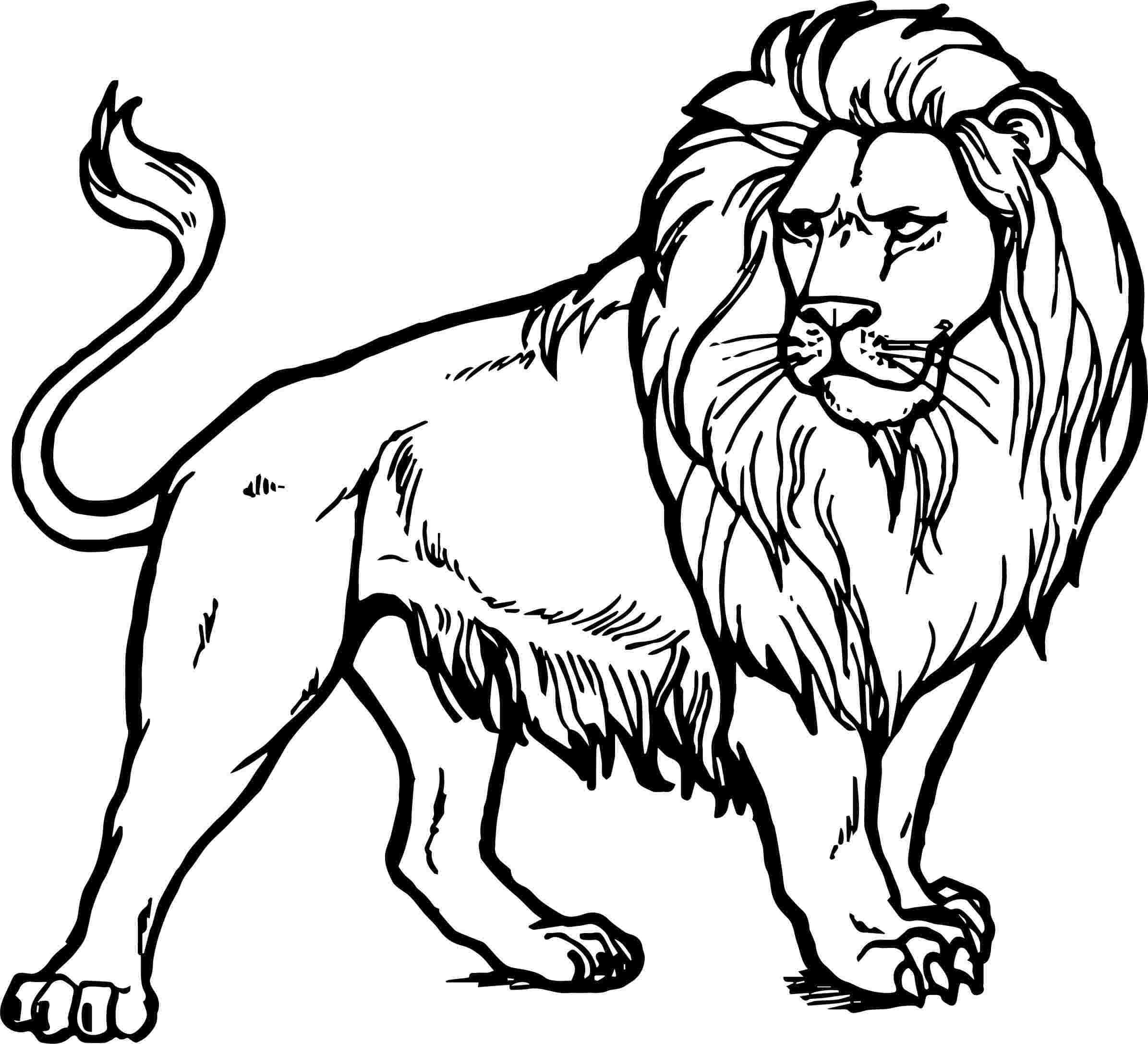 Drawing lion coloring page