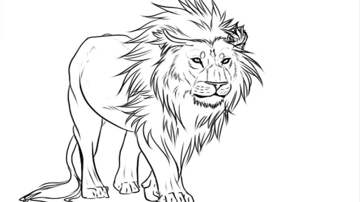 Coloring pages lion coloring pages coloring pages easy kids drawing lion