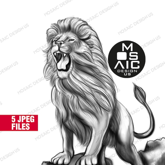 Buy realistic lion coloring pages lion drawing animal coloring book lion king art print digital poster print for wall decoration printable online in india