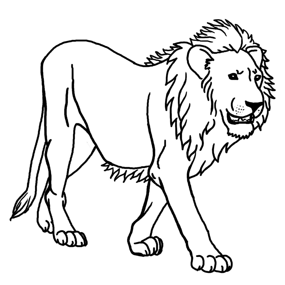 Lion free to color for children