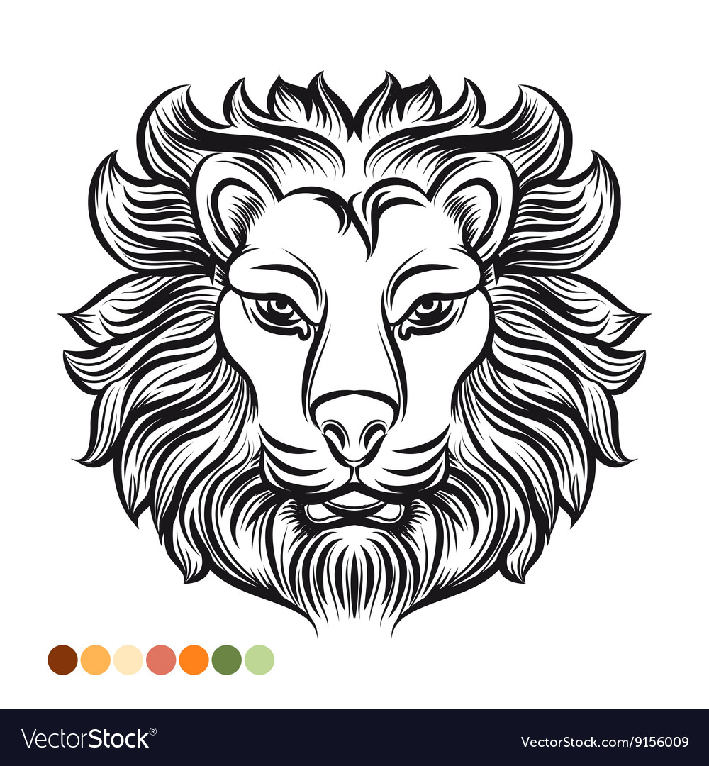 Wild lion coloring page royalty free vector image