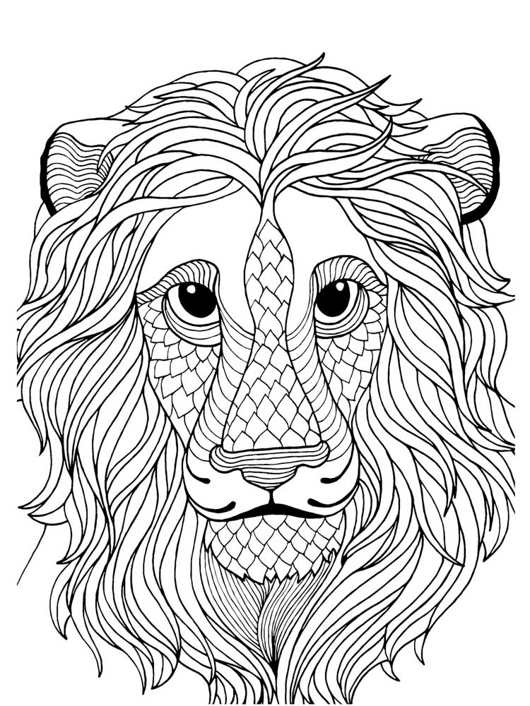 Lions portrait mandala coloring page