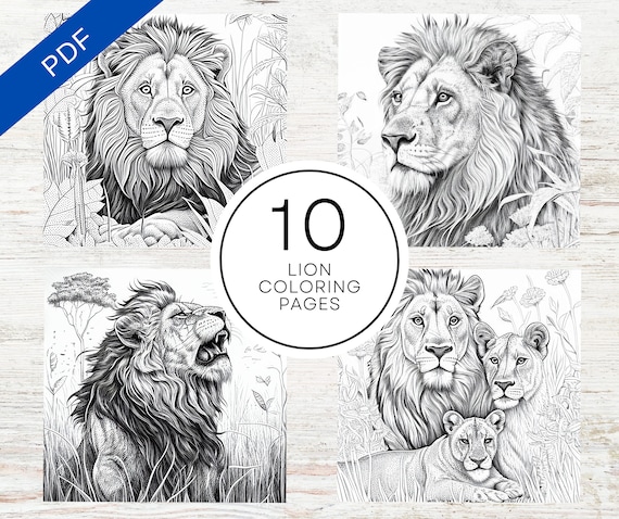 Realistic lion coloring pages for teens and adults printable pdf pages a grayscale illustrations for stress relief relaxation download now