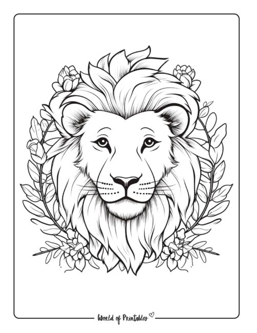 Lion coloring pages for kids adults