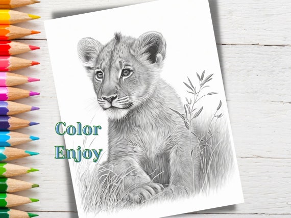 Lion king of the jungle set of printable coloring pages ai