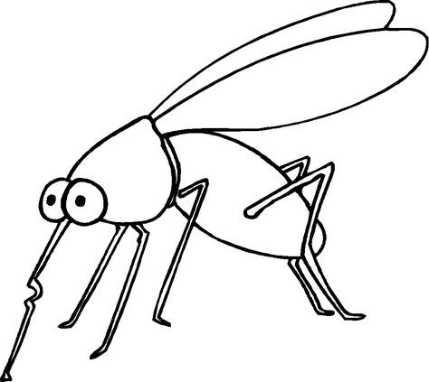 View this mosquito coloring page bug coloring pages insect coloring pages mermaid coloring pages