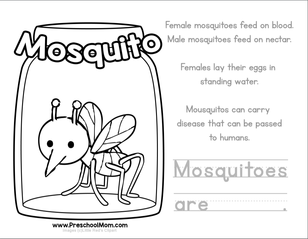 August â world mosquito day