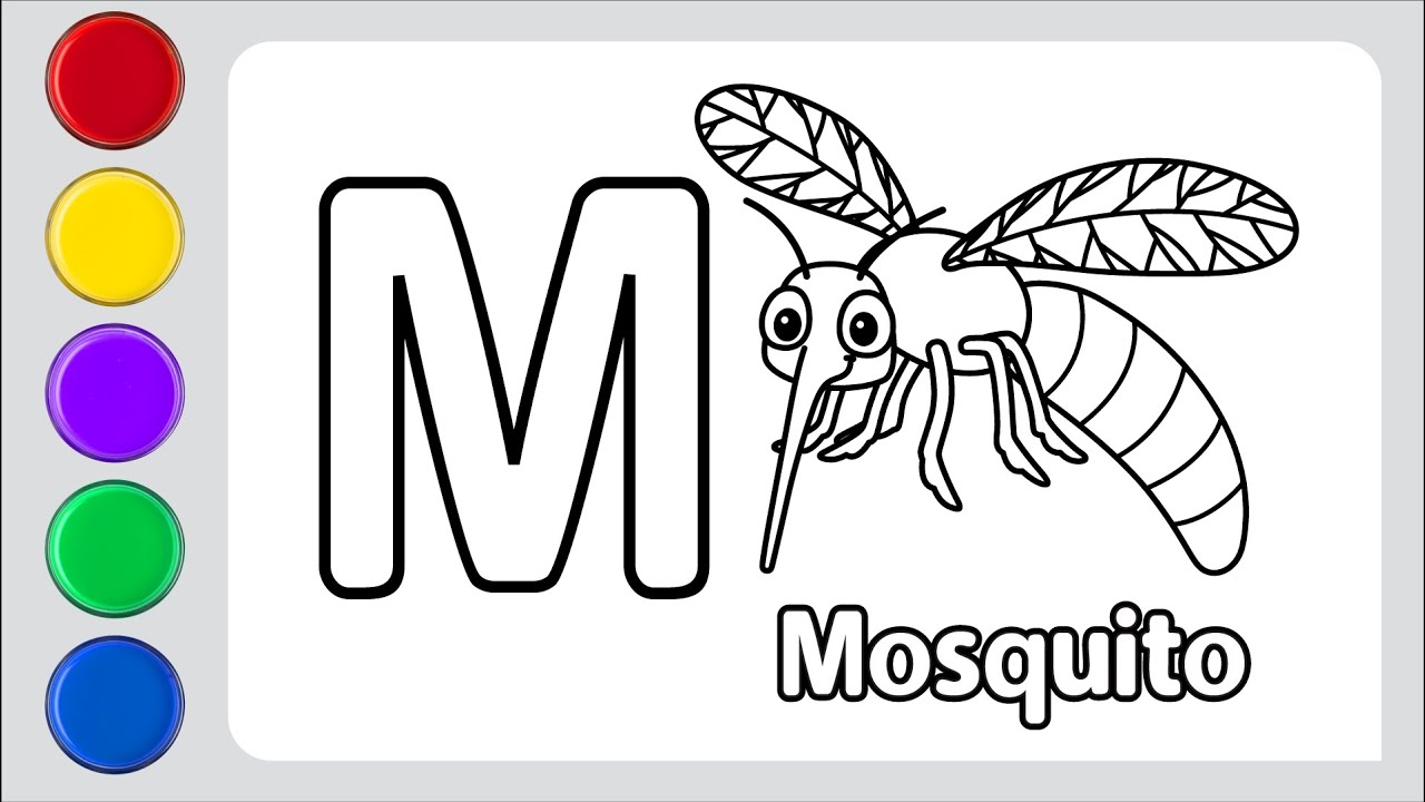 How to draw mosquito and color for kids