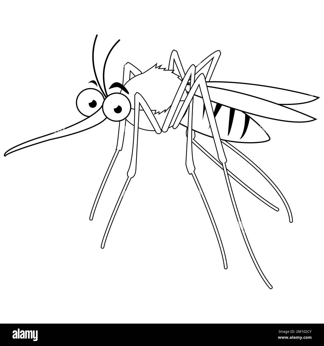 Gnat illustration hi